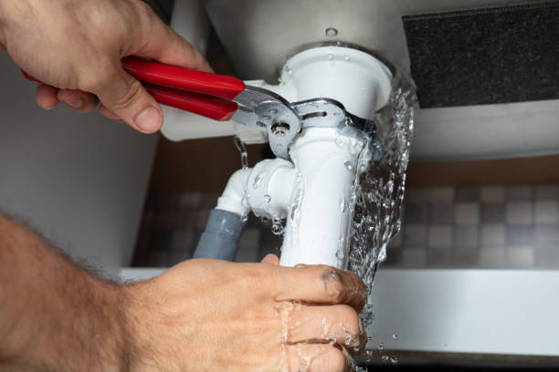 Best Mold removal after water damage  in Northport, AL