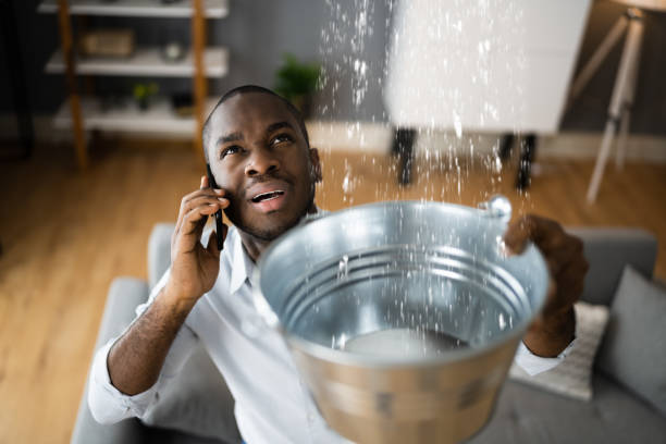 Best 24/7 water damage repair  in Northport, AL