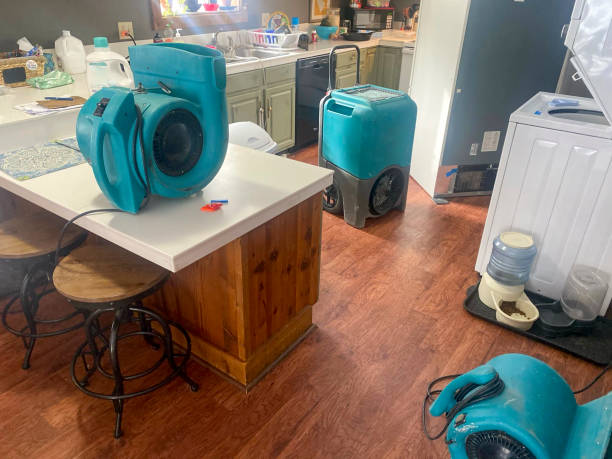 Best Water damage cleanup near me  in Northport, AL
