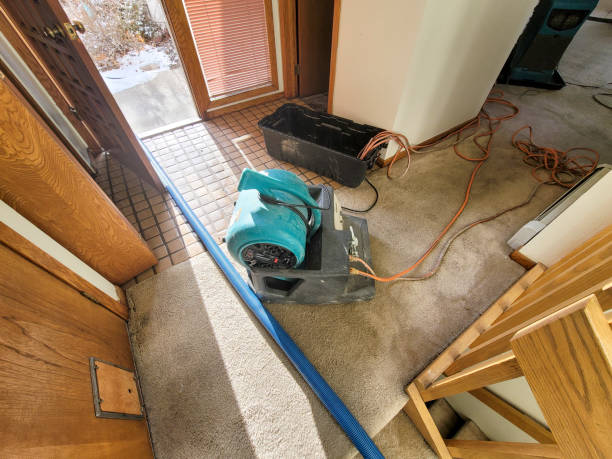 Best Local water damage restoration  in Northport, AL