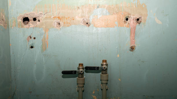 Trusted AL Water damage restoration Experts