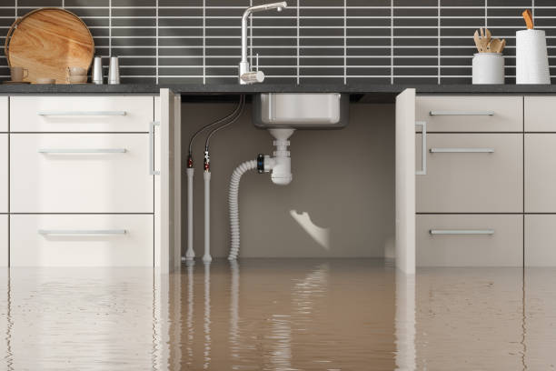 Best Basement water damage restoration  in Northport, AL