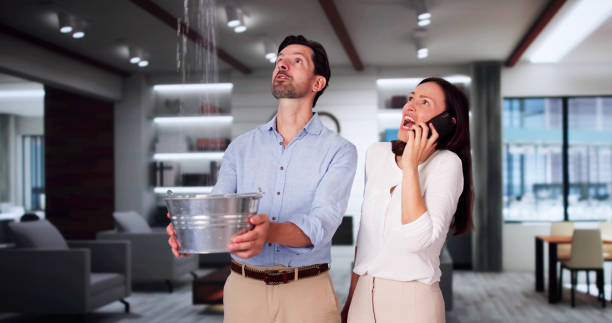 Best Local water damage restoration  in Northport, AL